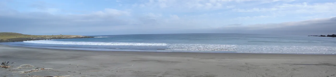 Horse Beach Cove, San Clemente Island, SBBG Research 2005