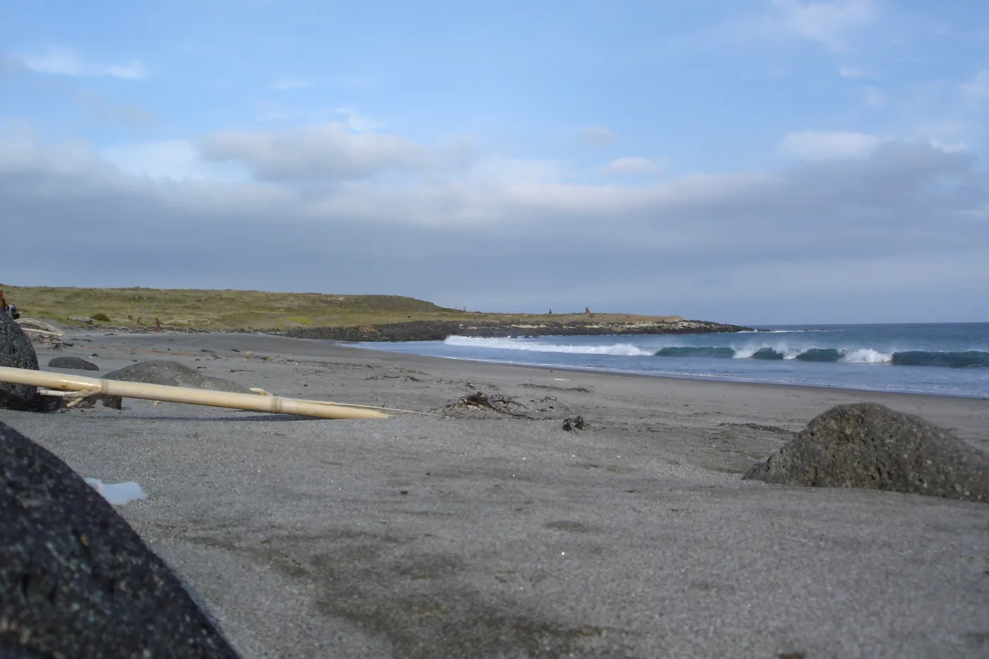 Horse Beach Cove, San Clemente Island, SBBG Research 2005
