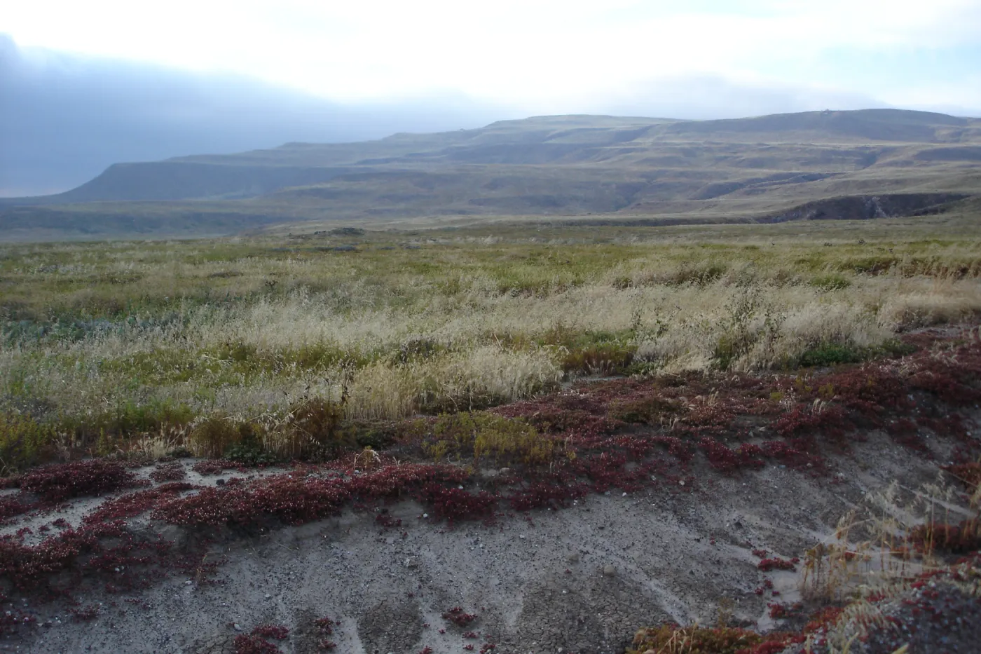 San Clemente Island, SBBG Research 2005