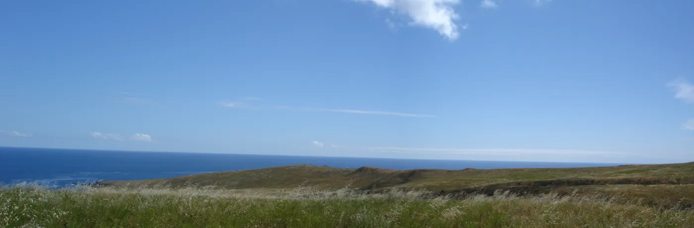 San Clemente Island, SBBG Research 2005