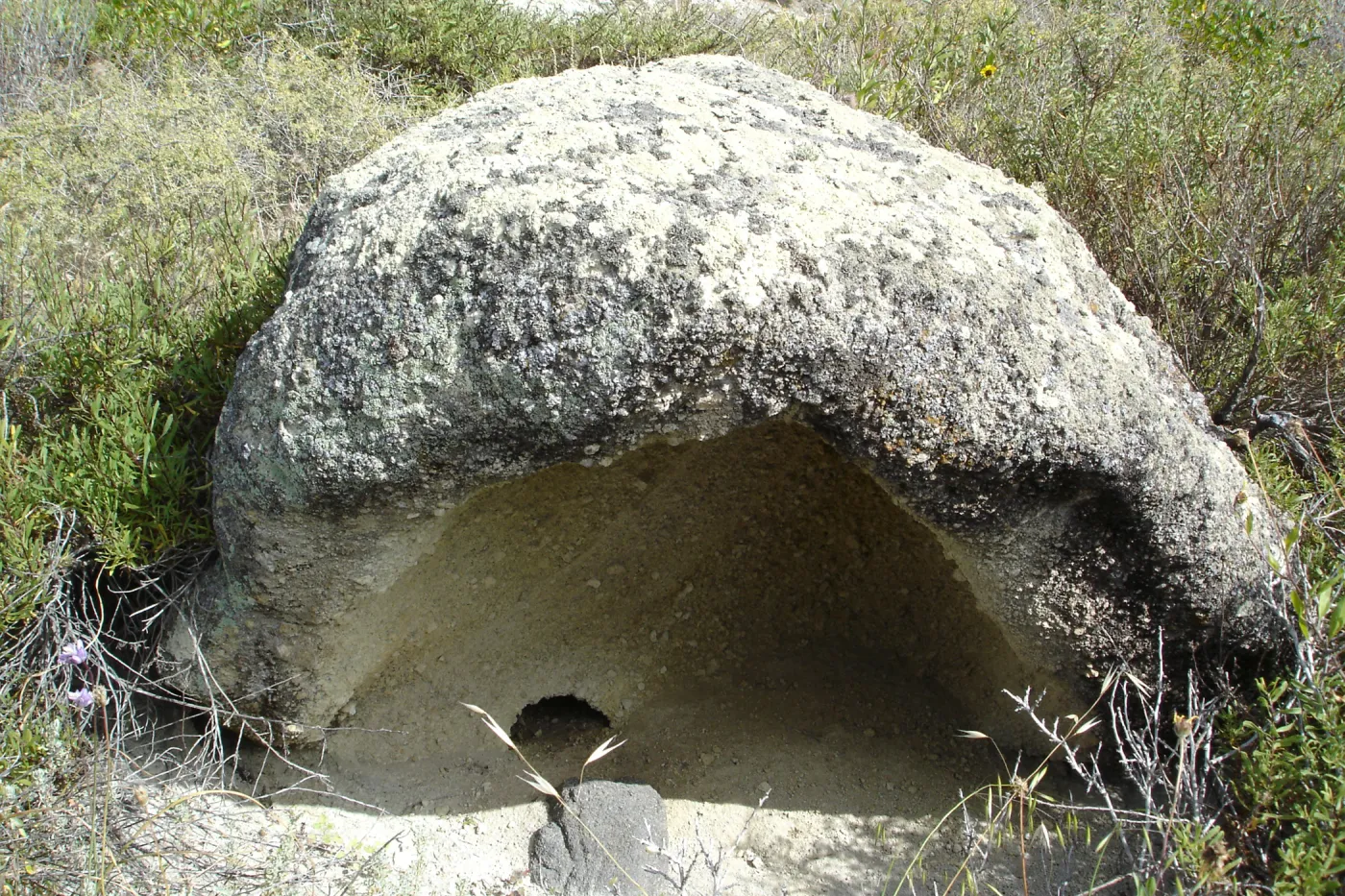 San Clemente Island, SBBG Research 2005