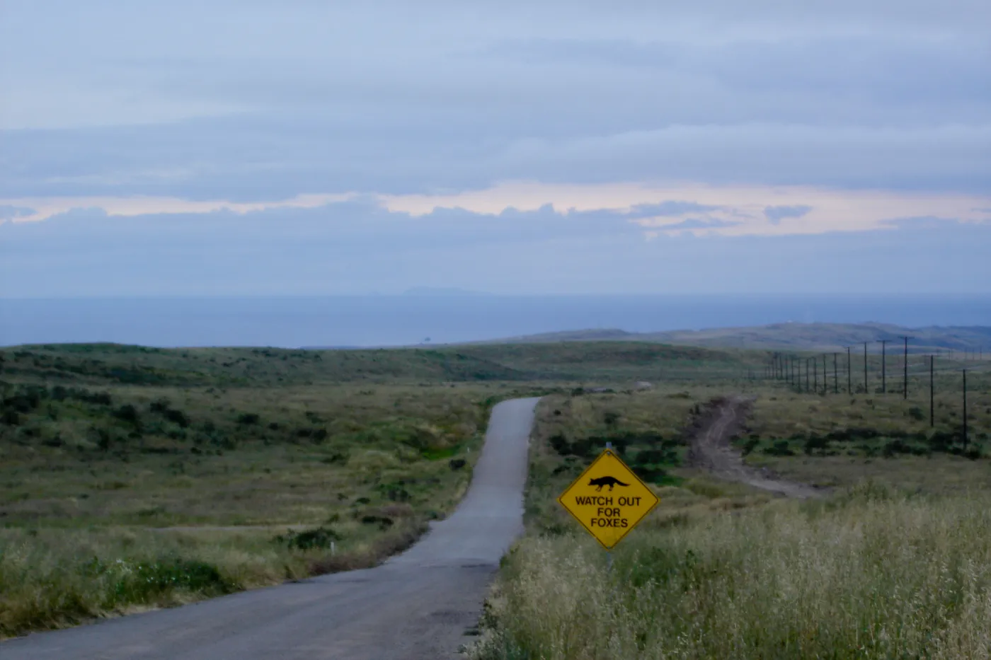 San Nicolas Island on the horizon, San Clemente Island, SBBG Research 2005