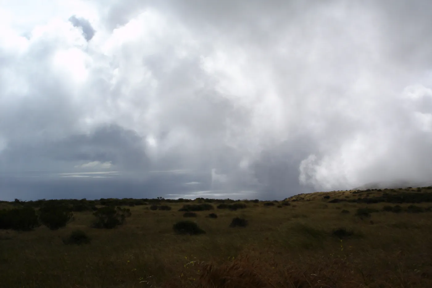 marine layer, clouds, San Clemente Island, SBBG Research 2005