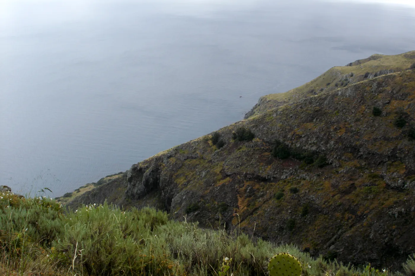 San Clemente Island, SBBG Research 2005