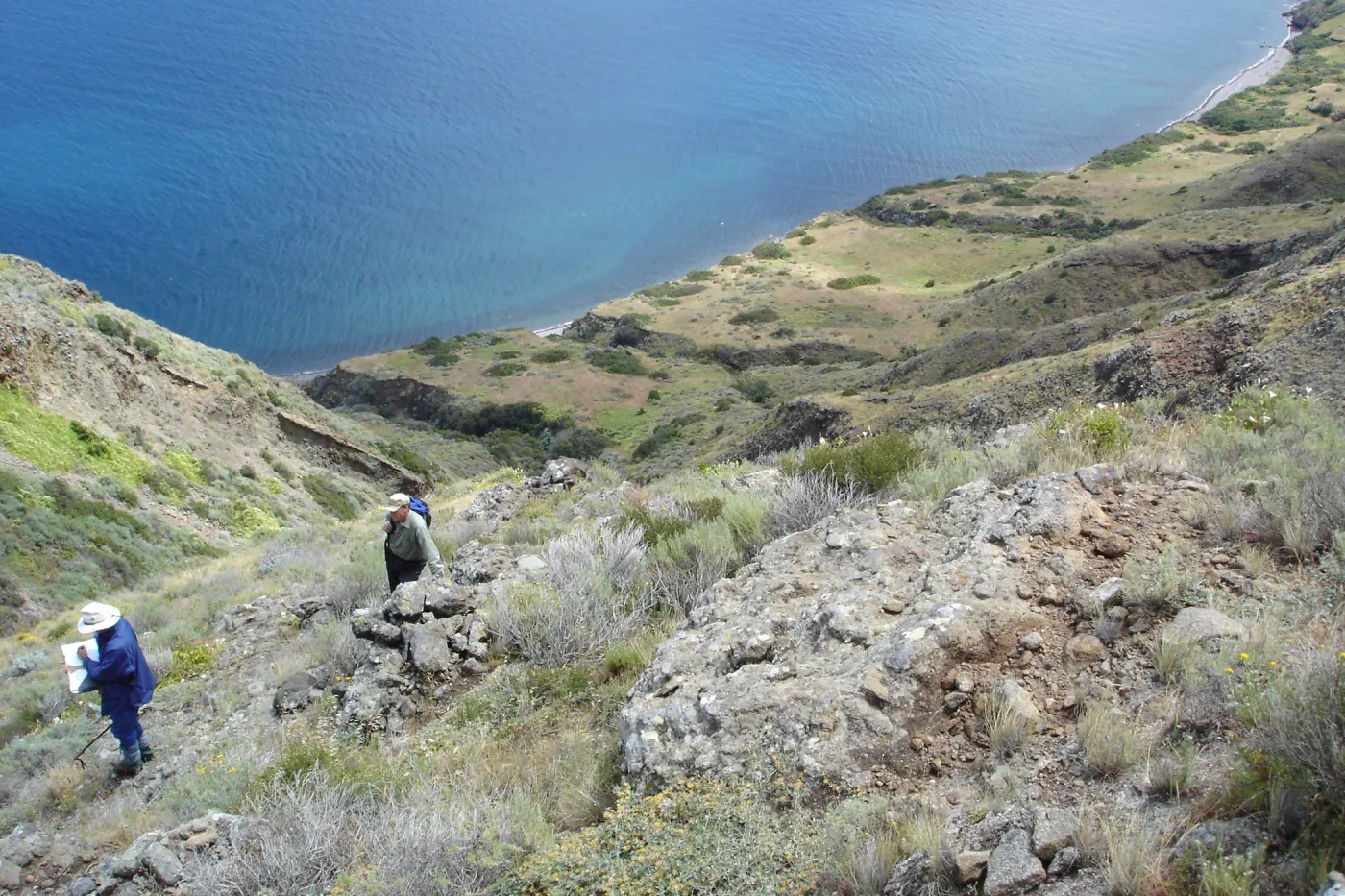 San Clemente Island, SBBG Research 2005, Steve Junak and Bob Muller