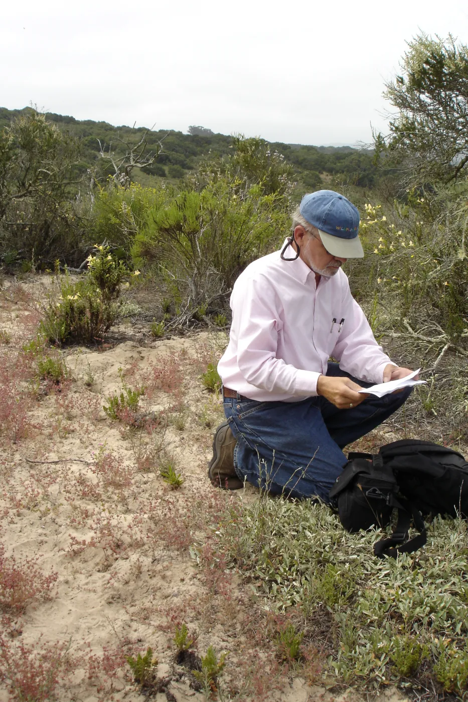 La Purisima, SBBG Research 2006 survey for Vandenberg monkeyflower, Dieter Wilken