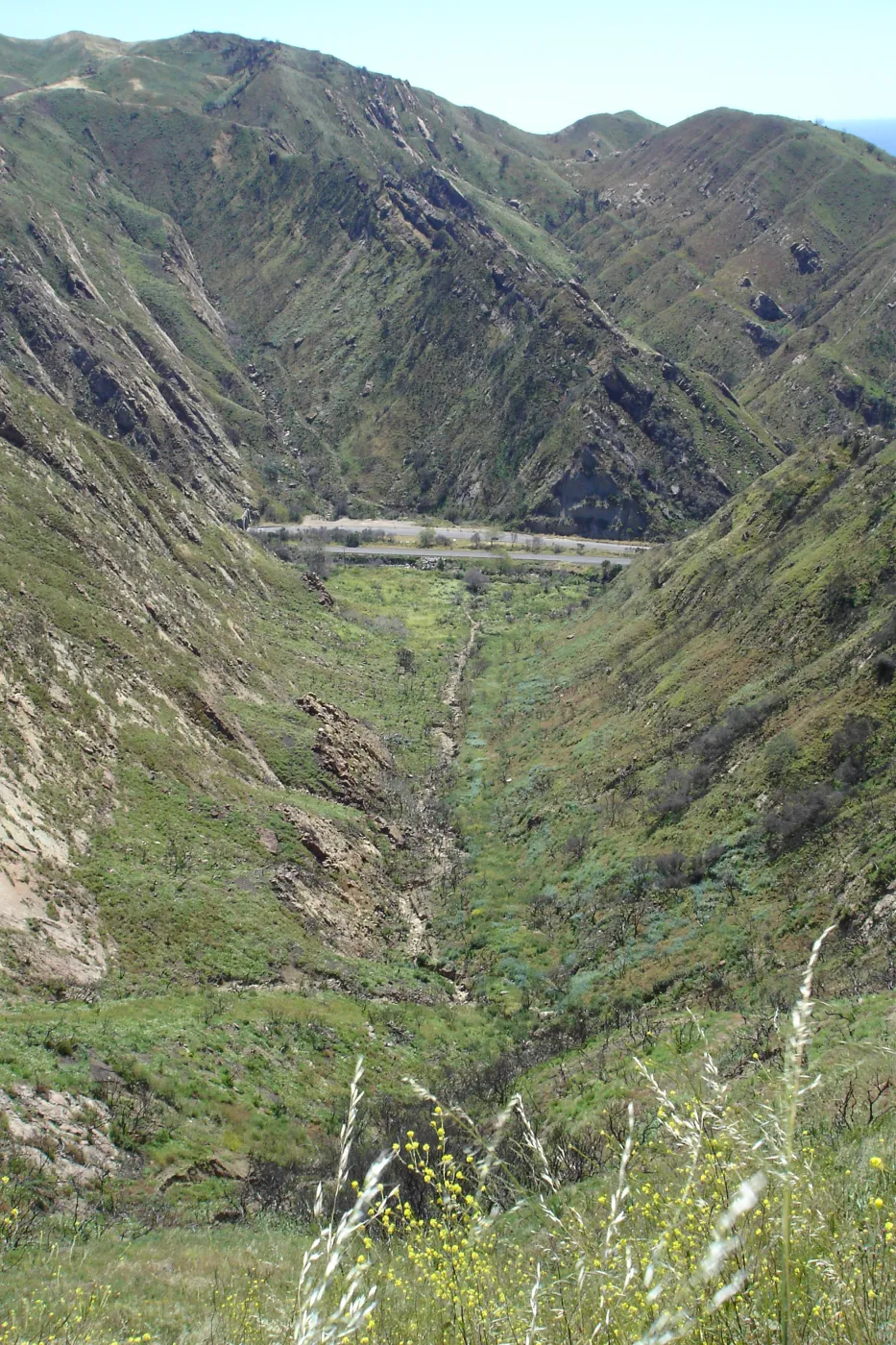 Gaviota burn site, SBBG staff field trip 2005