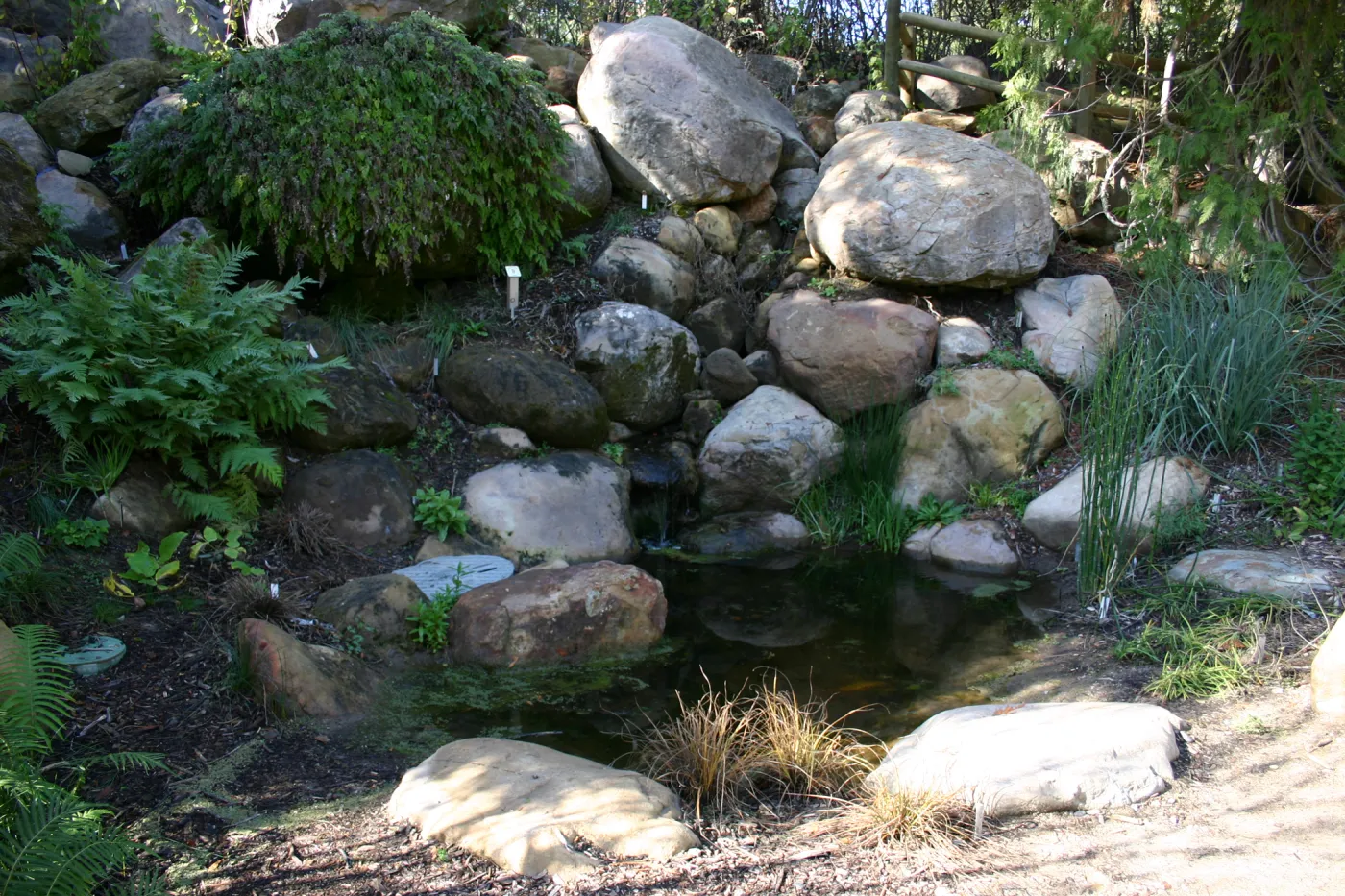 seep and pond in the Arroyo