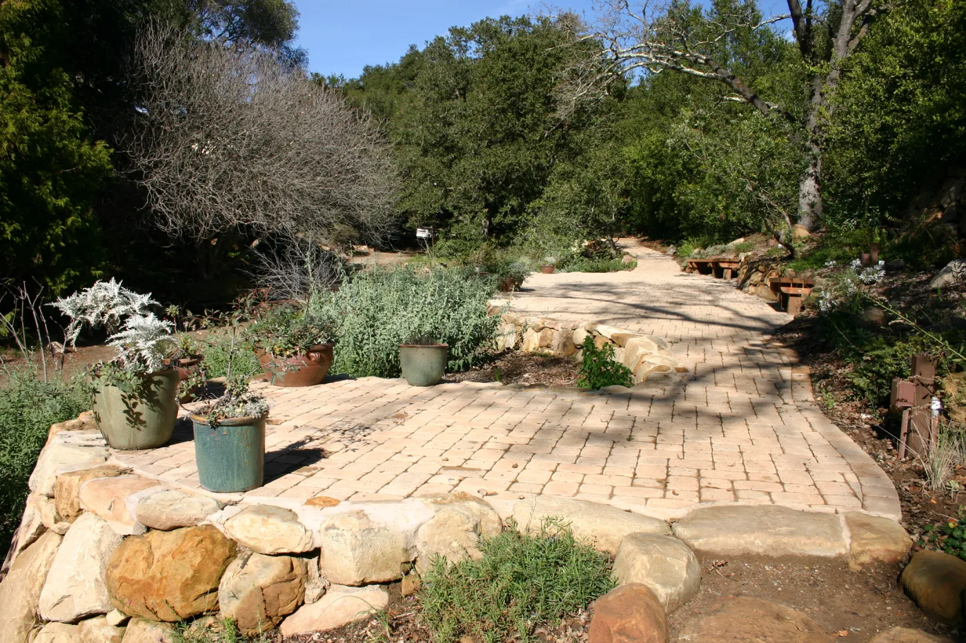 pavered patio area in the Discovery Garden, Arroyo Section