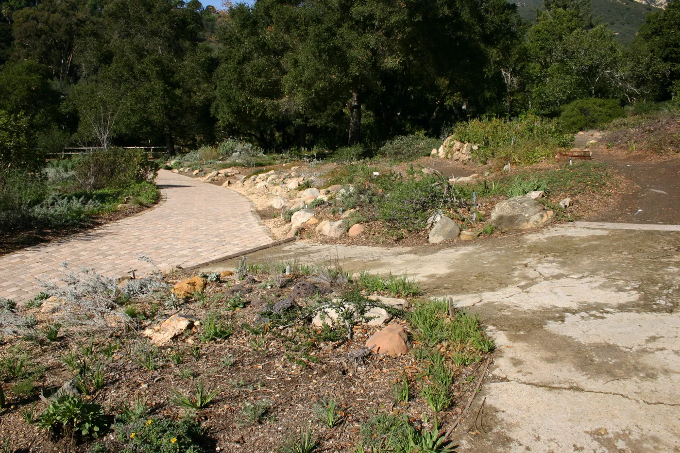 Meadow View garden, pavered path at top of Meadow