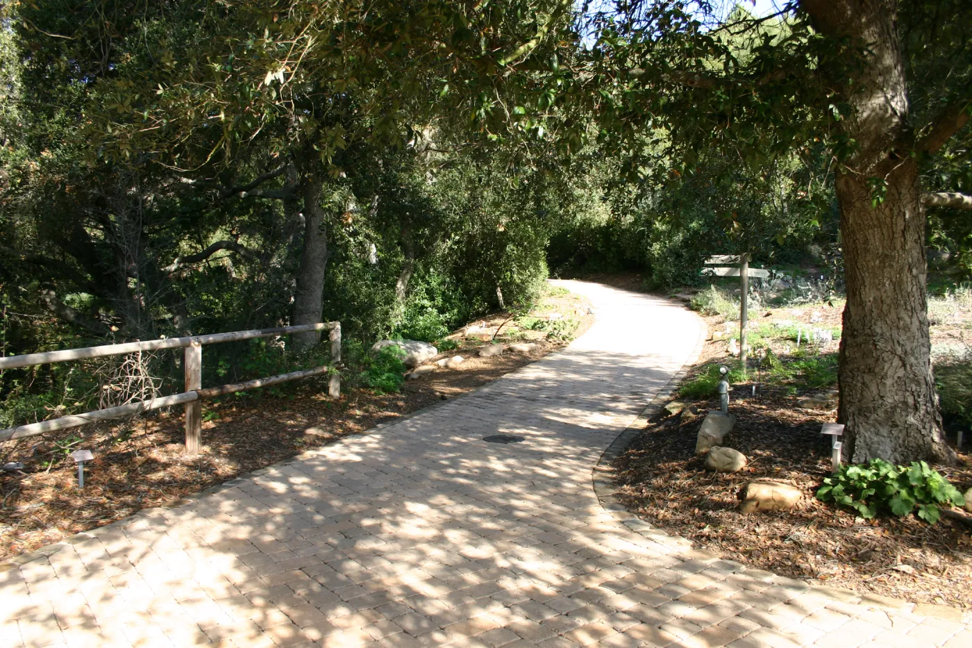 pavered path to the Redwoods, top of Meadow