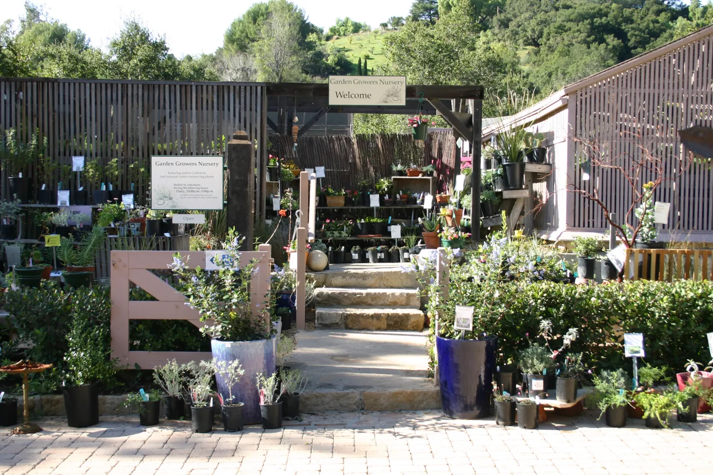 Garden Growers Nursery, paver stones in the Courtyard