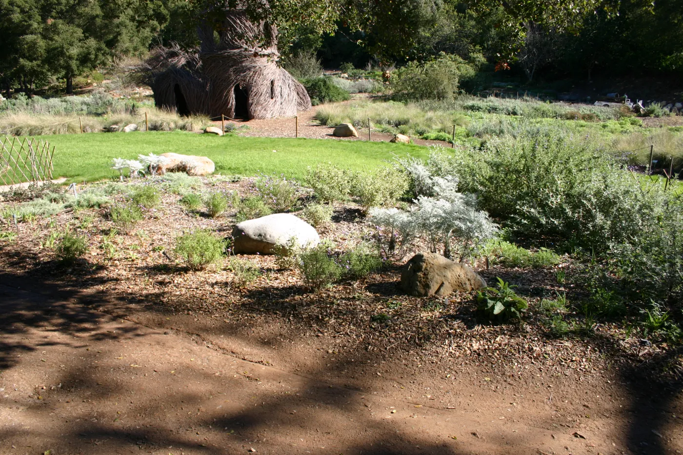 unpaved path under the Meadow Oaks