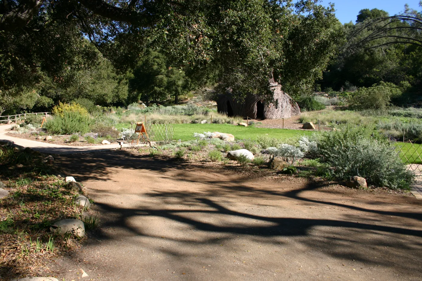 unpaved path under the Meadow Oaks