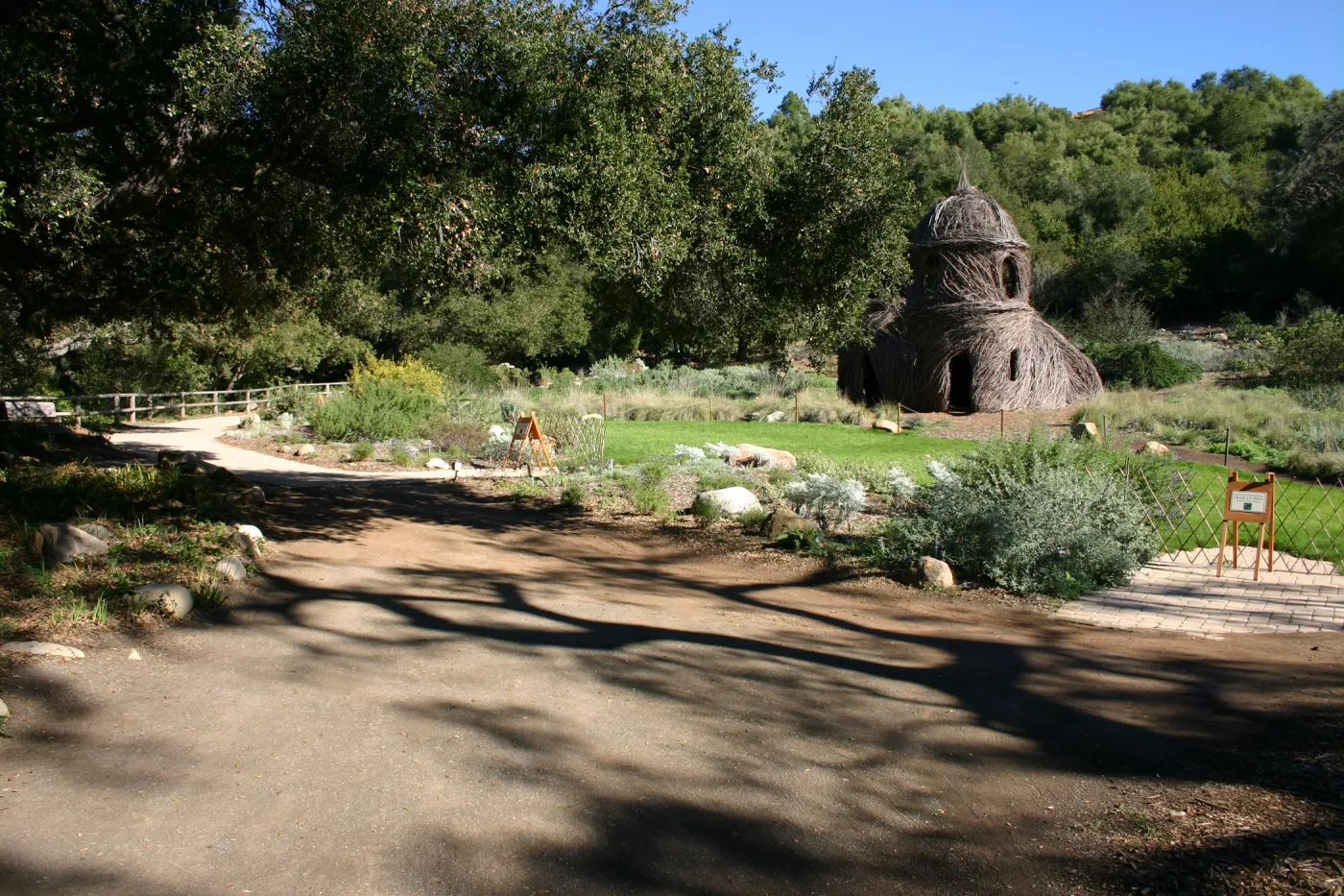 unpaved path under the Meadow Oaks