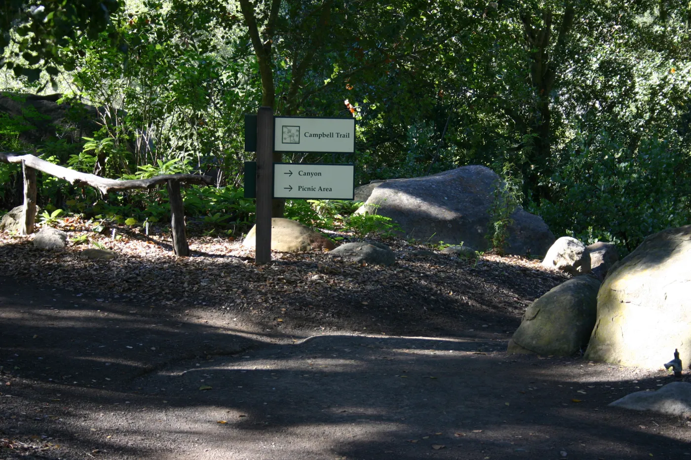 unpaved, dirt path on the Campbell Trail