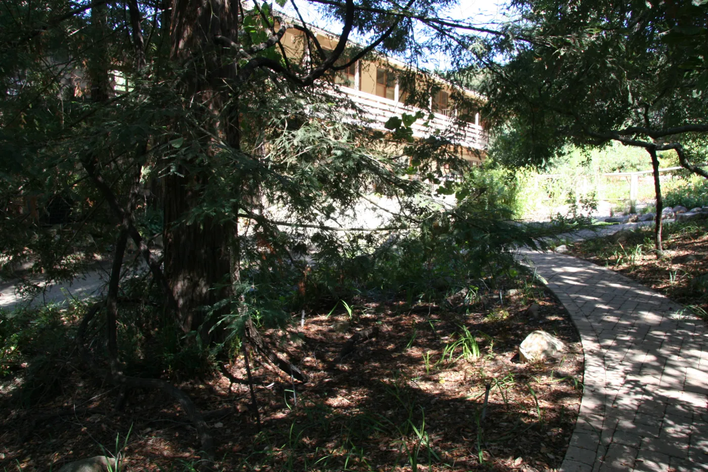 Arroyo Section