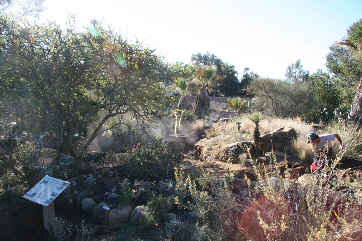 Irrigation construction in the Desert Section