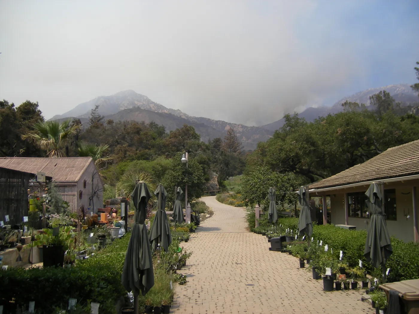 view of smoke from Jesusita Fire from SBBG, day 4, 2:10 PM