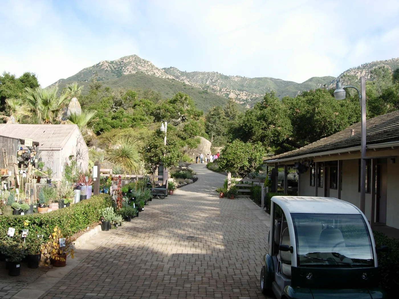 Accessible paving installed in the Courtyard, electric cart