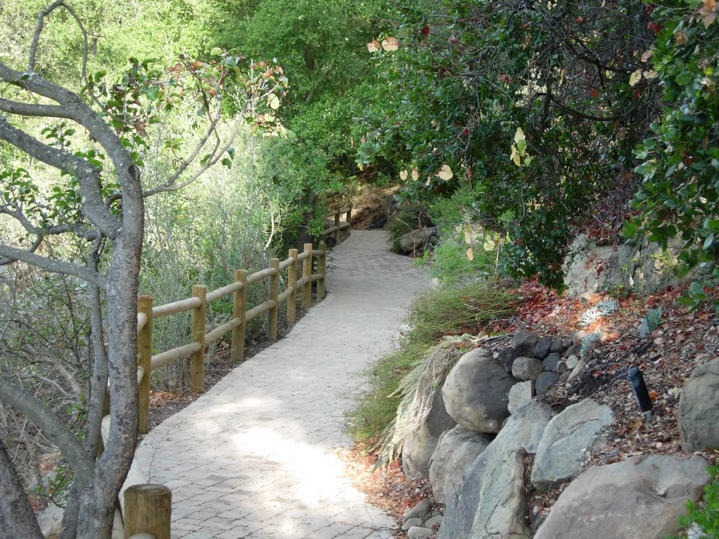 Accessible paving installed on the Campbell Trail, SBBG 2006 Projects
