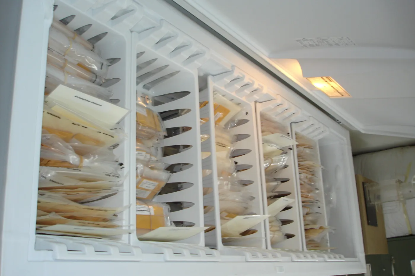 seed storage freezer, SBBG Conservation seed bank facilities