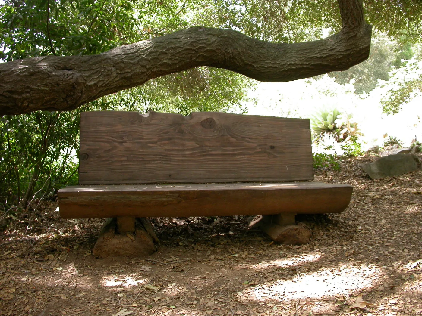 Ellen Hansen Bench, M 25 (Bench #42)