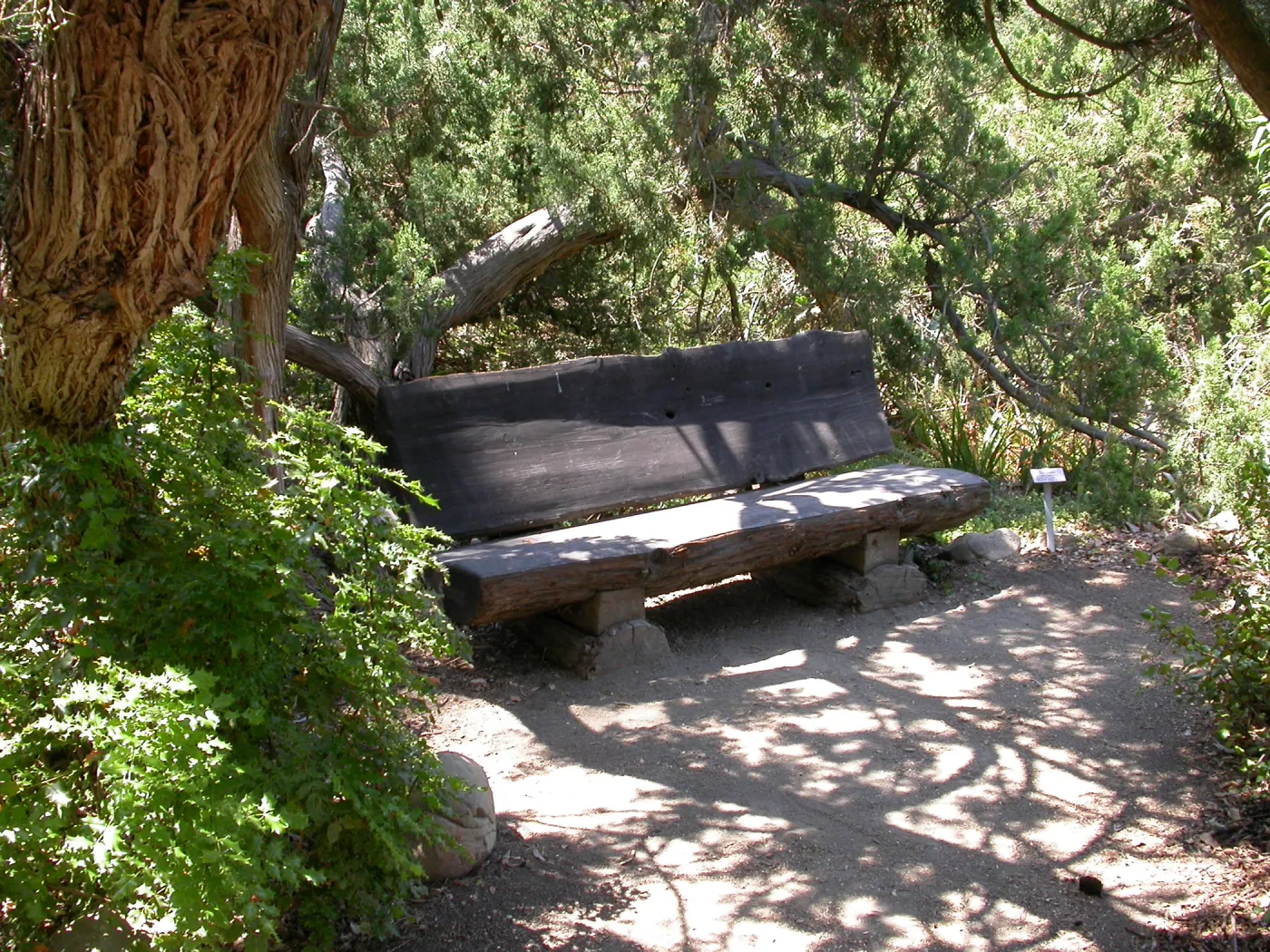 Cloud Bench (Bench #3)