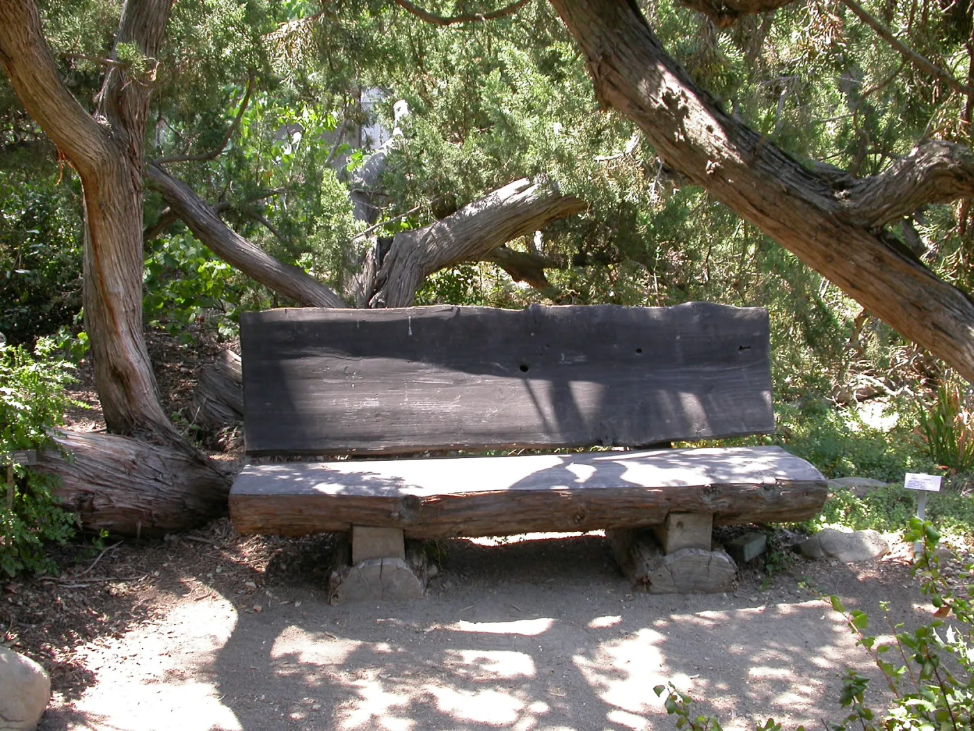 Cloud Bench (Bench #3)