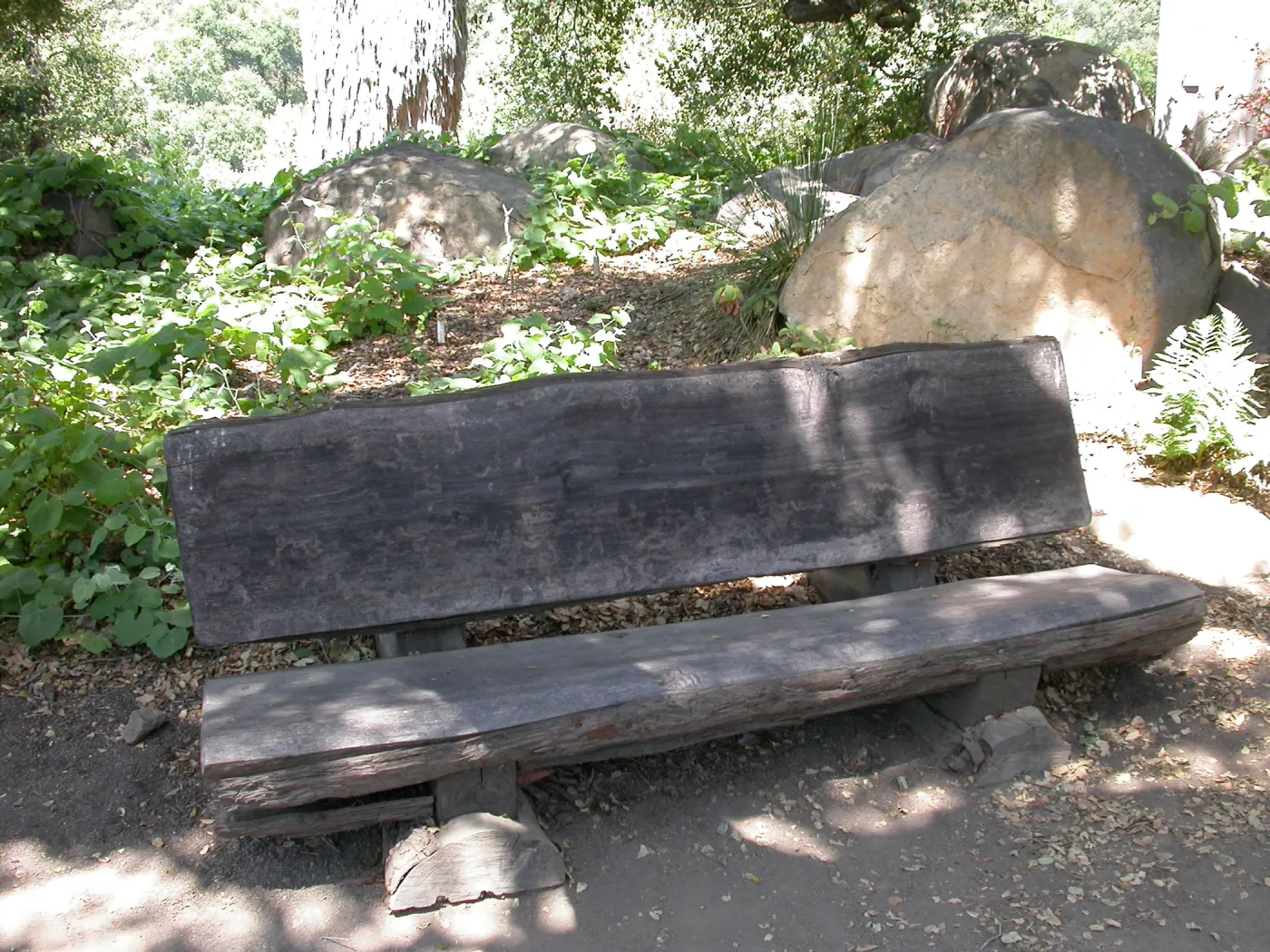 Davis Bench (Bench #65)