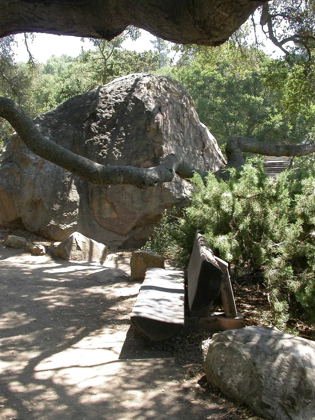 Williams Bench (Bench #4)