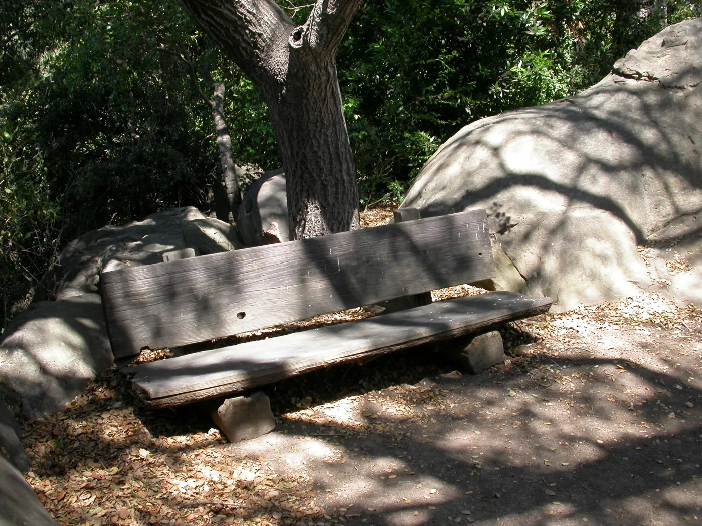 Webb Bench