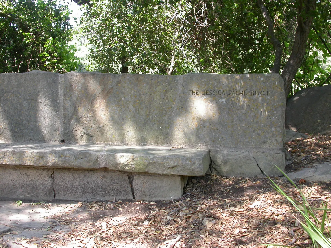 Palme Bench (Bench #20)