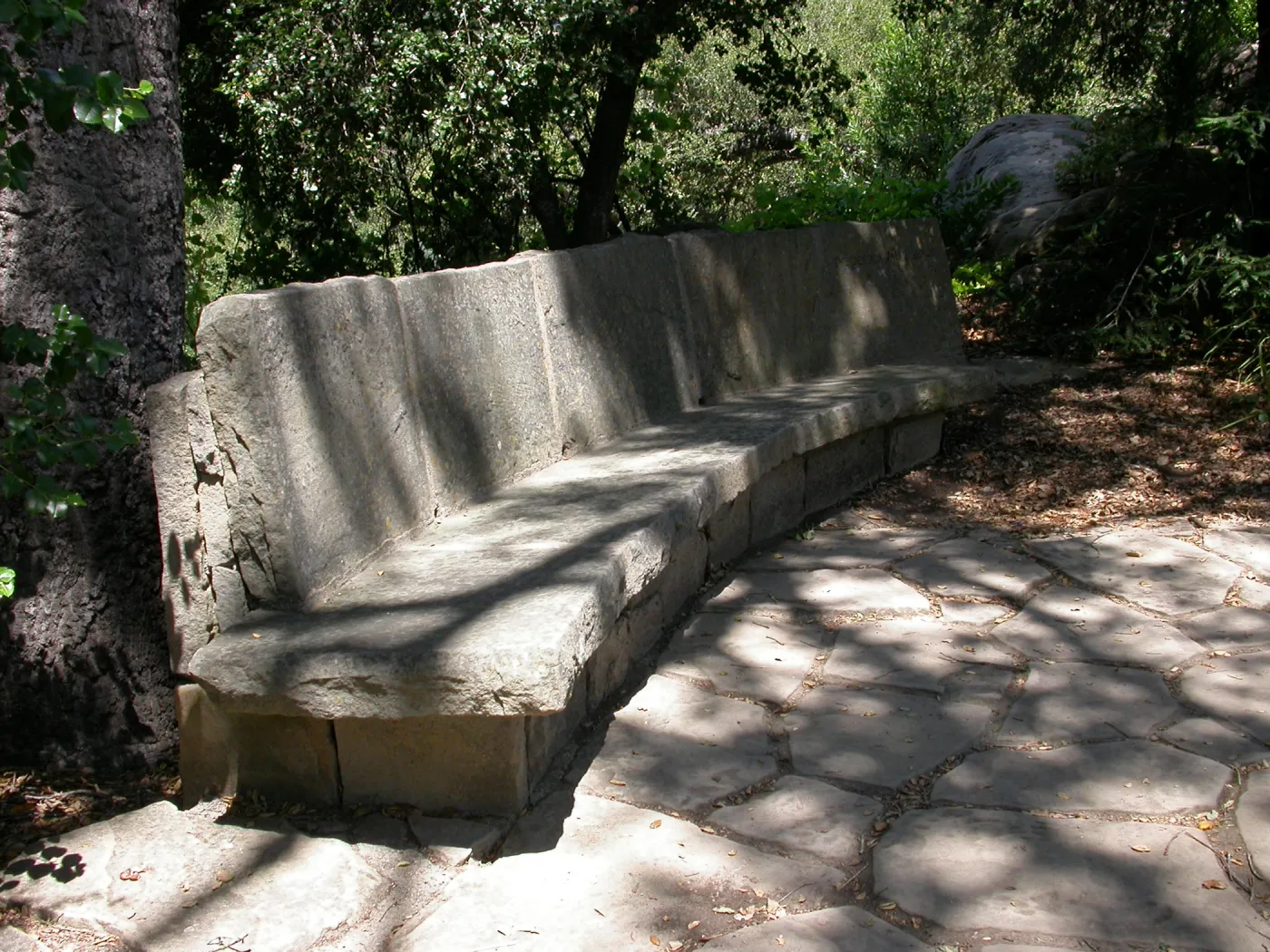 Palme Bench (Bench #20)