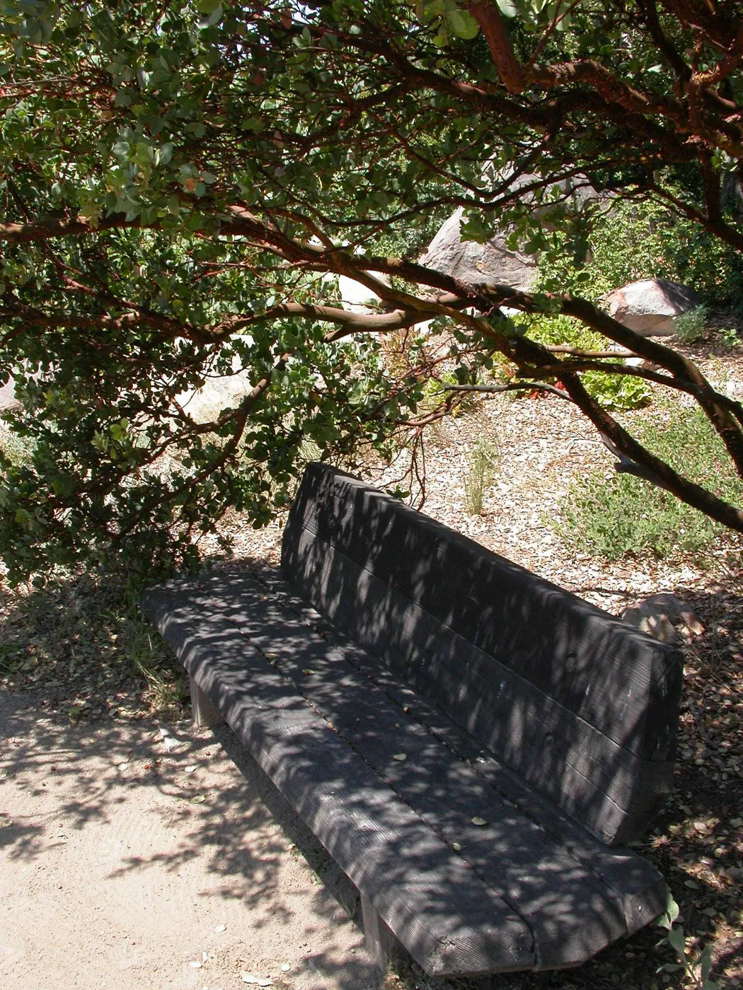 Howland Bench (Bench #9)