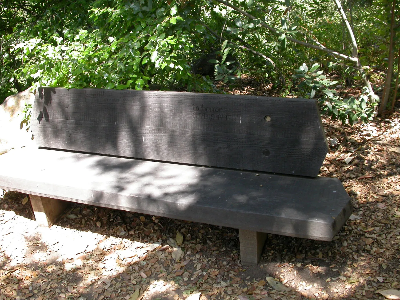 Pettit Bench (Bench #10)