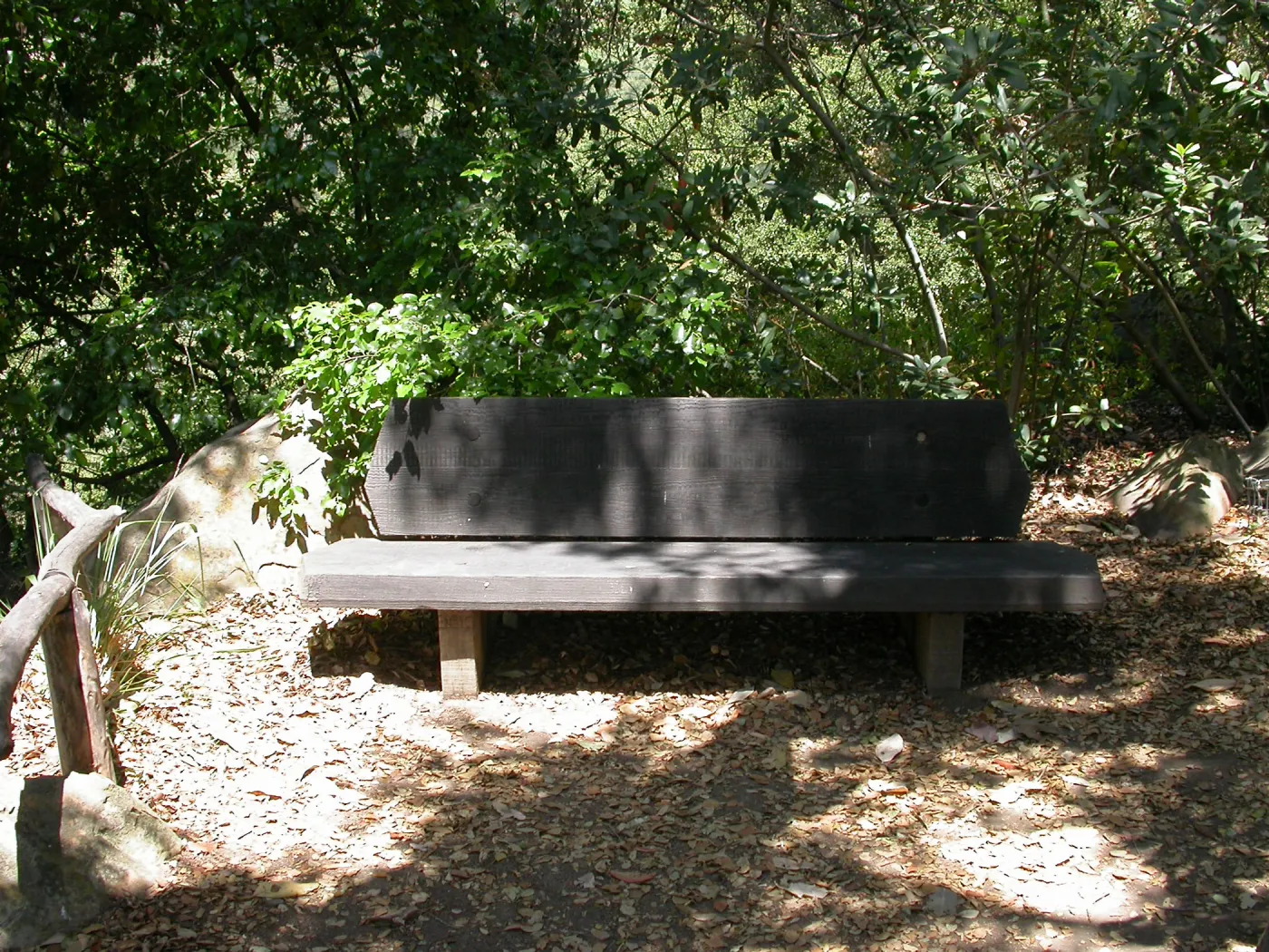 Pettit Bench (Bench #10)