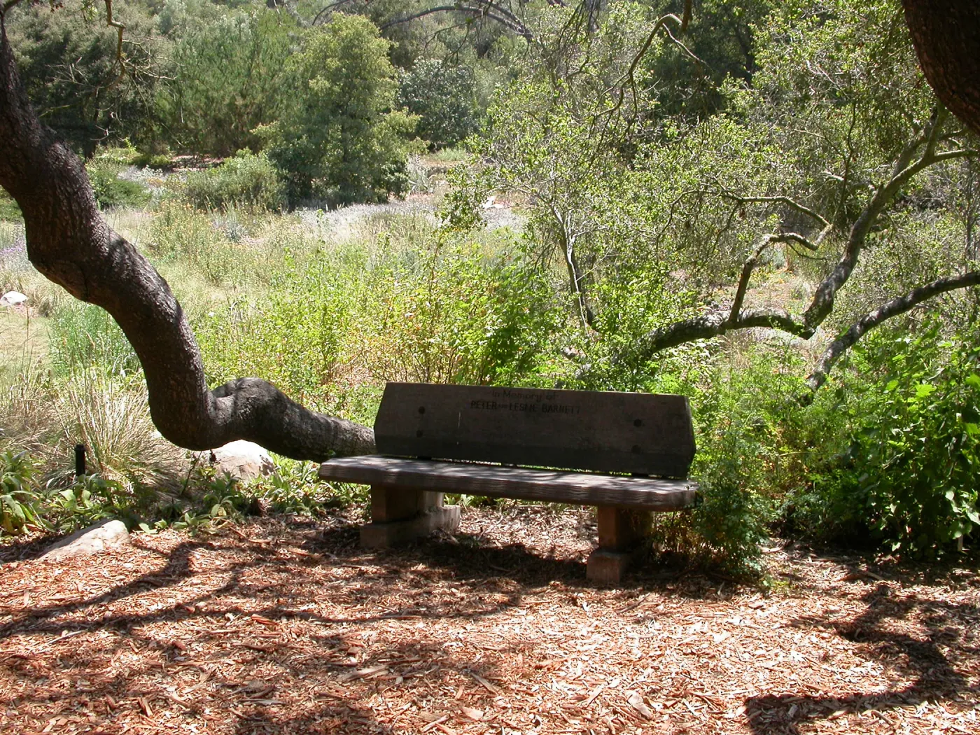 Barnett Bench (Bench #11)