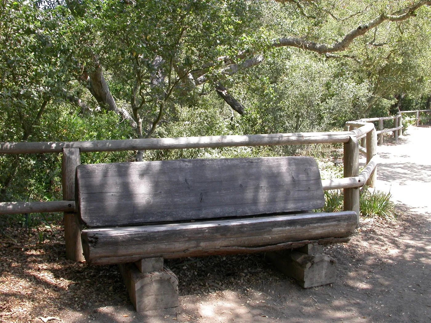 Gest Bench (Bench #14)