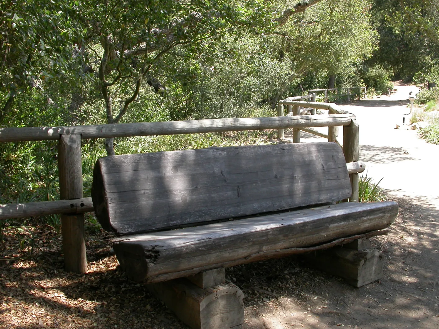 Gest Bench (Bench #14)