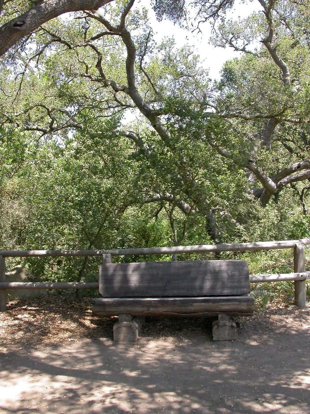 Gest Bench (Bench #14)