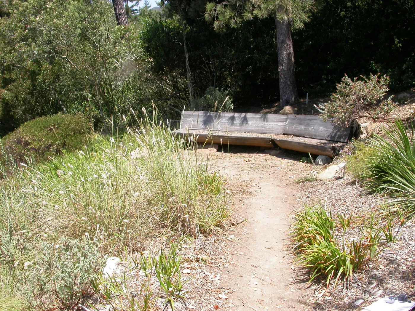 Conn Bench in the Meadow View (Bench #16)