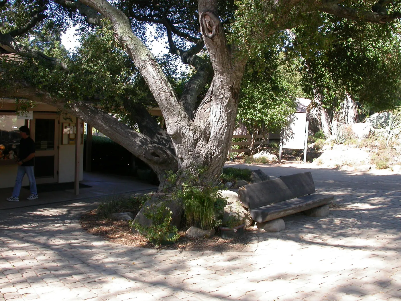 Cornell Bench at entrance (Bench #1)