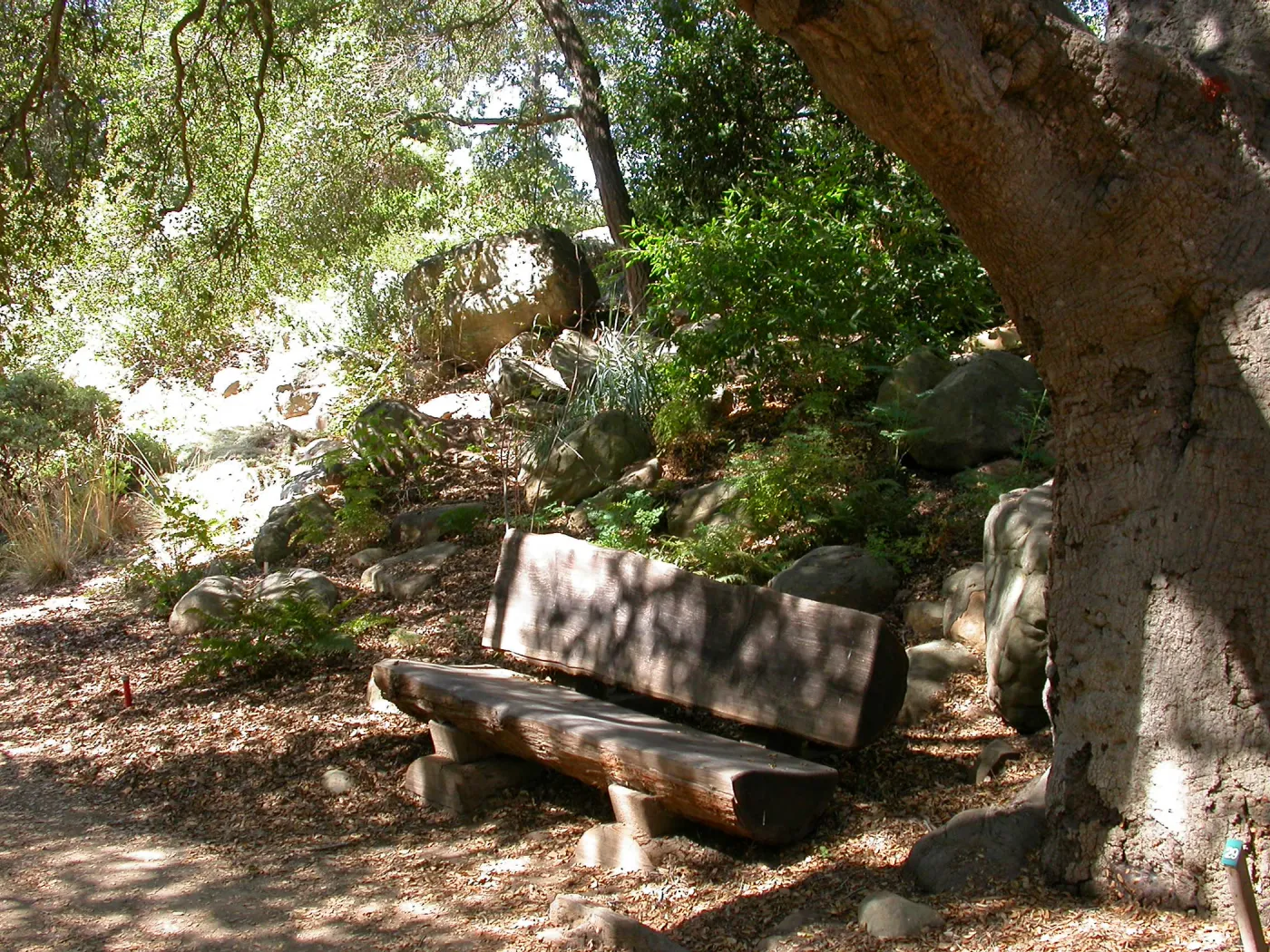 Kipnis Bench in the Arroyo (Bench #59)
