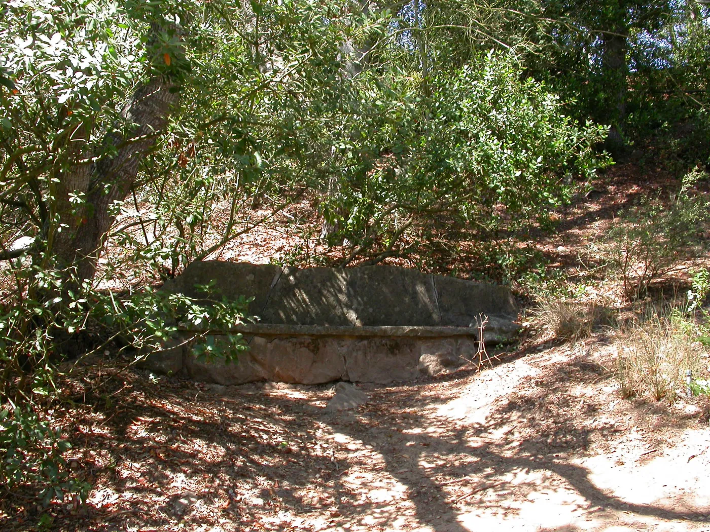 Kenward Bench (Bench #45)