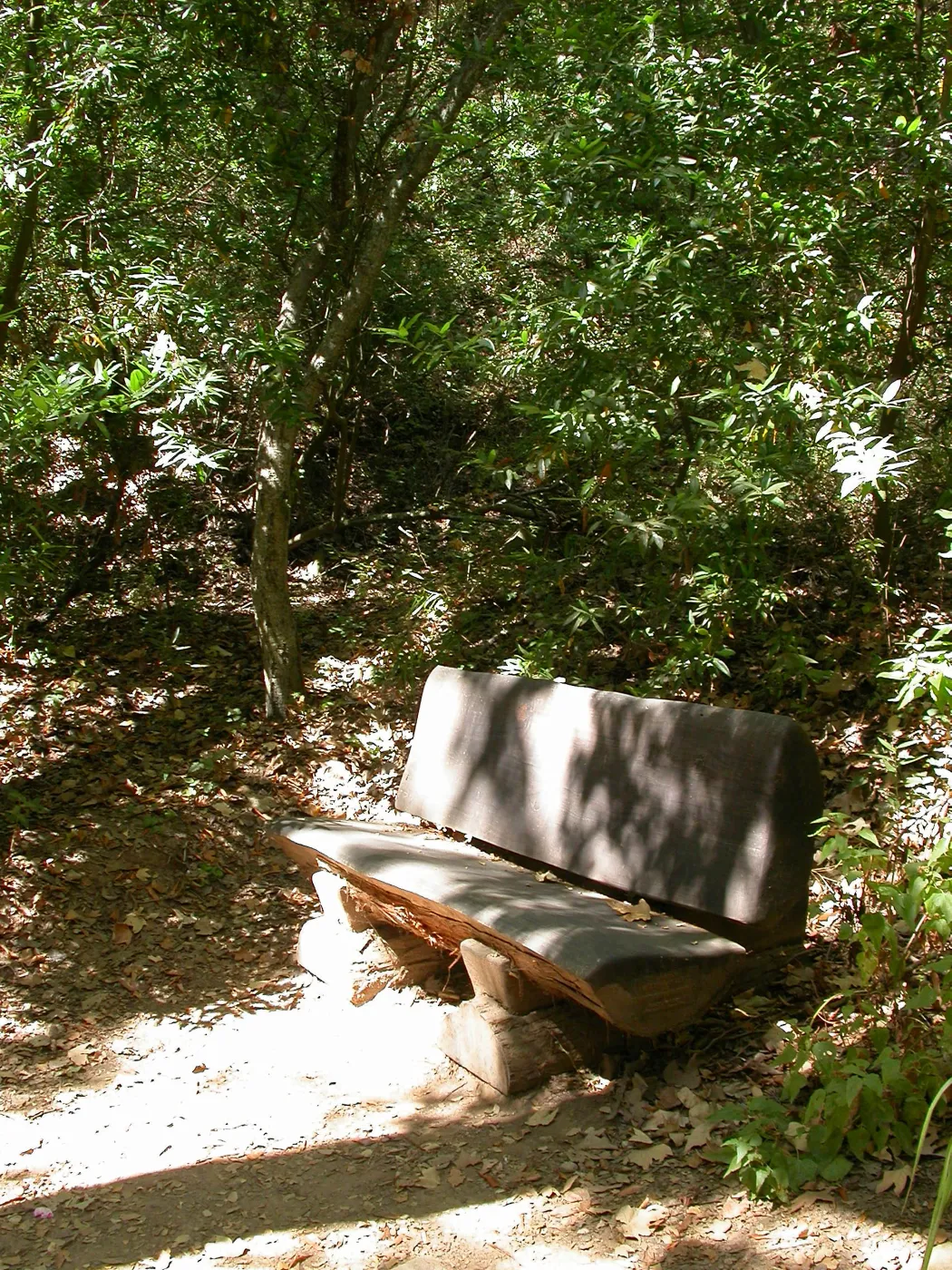 Coleman Bench (Bench #40)