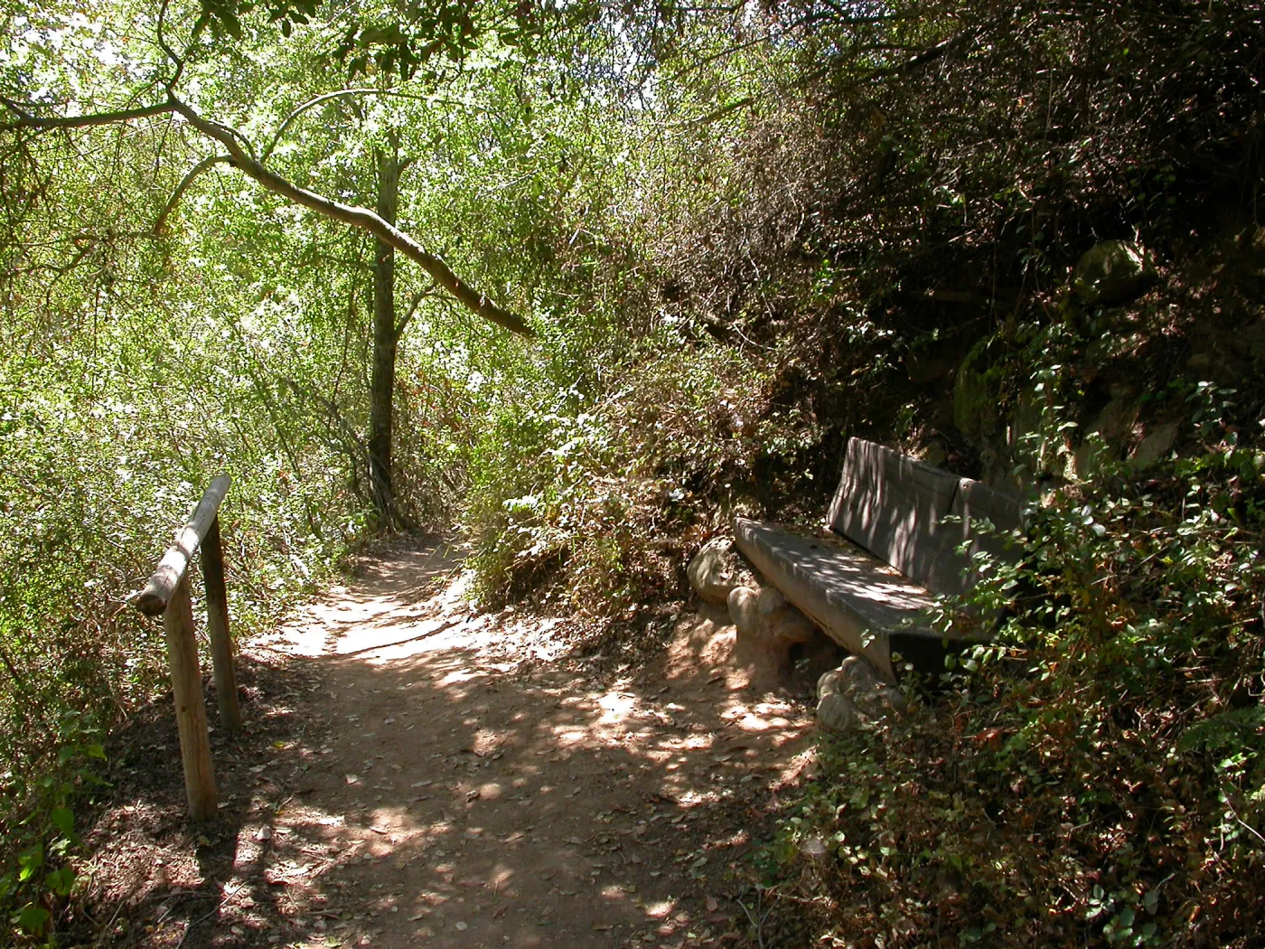 Janeway Bench (Bench #35)