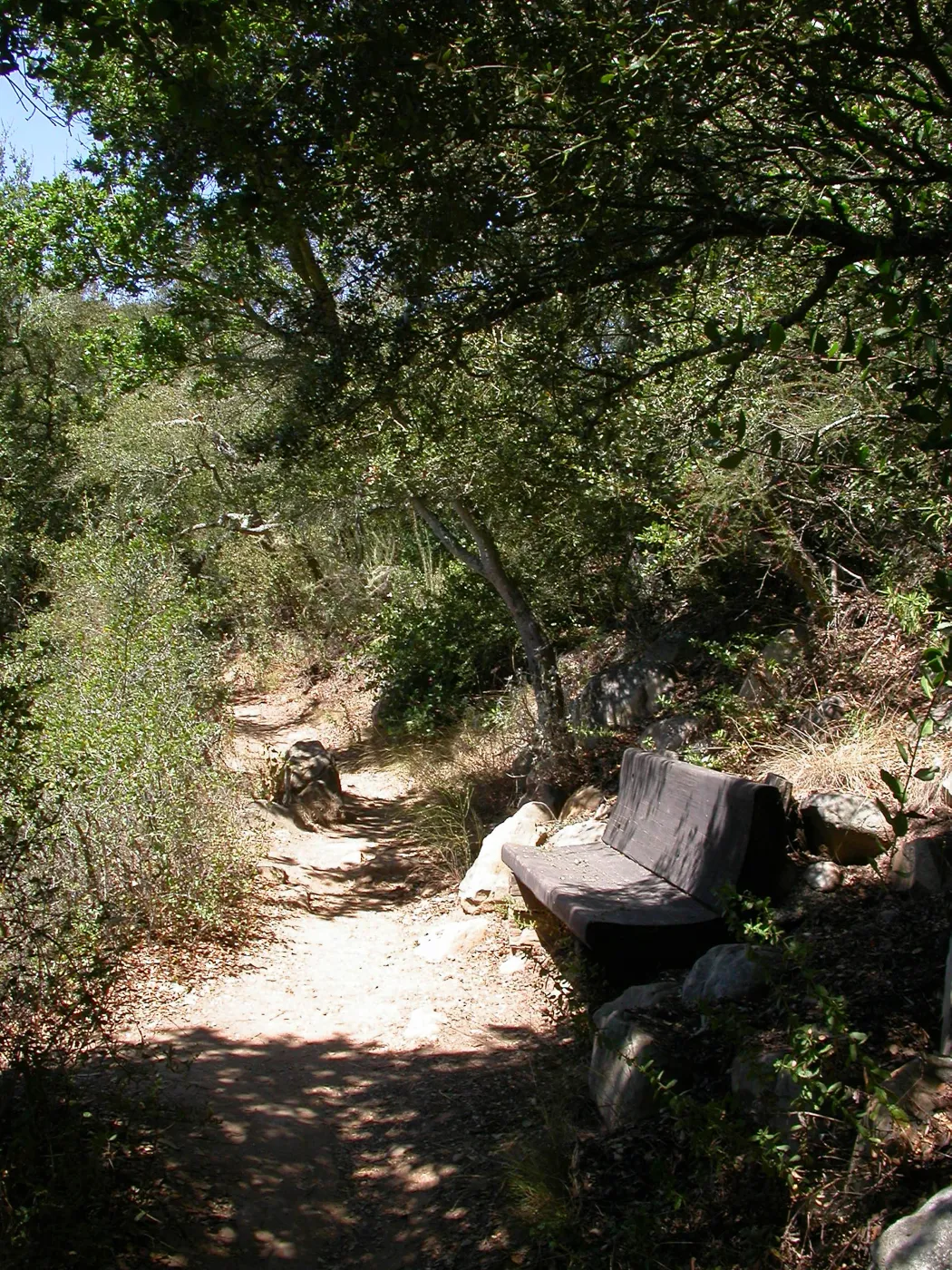 Hooper Bench (Bench #33)