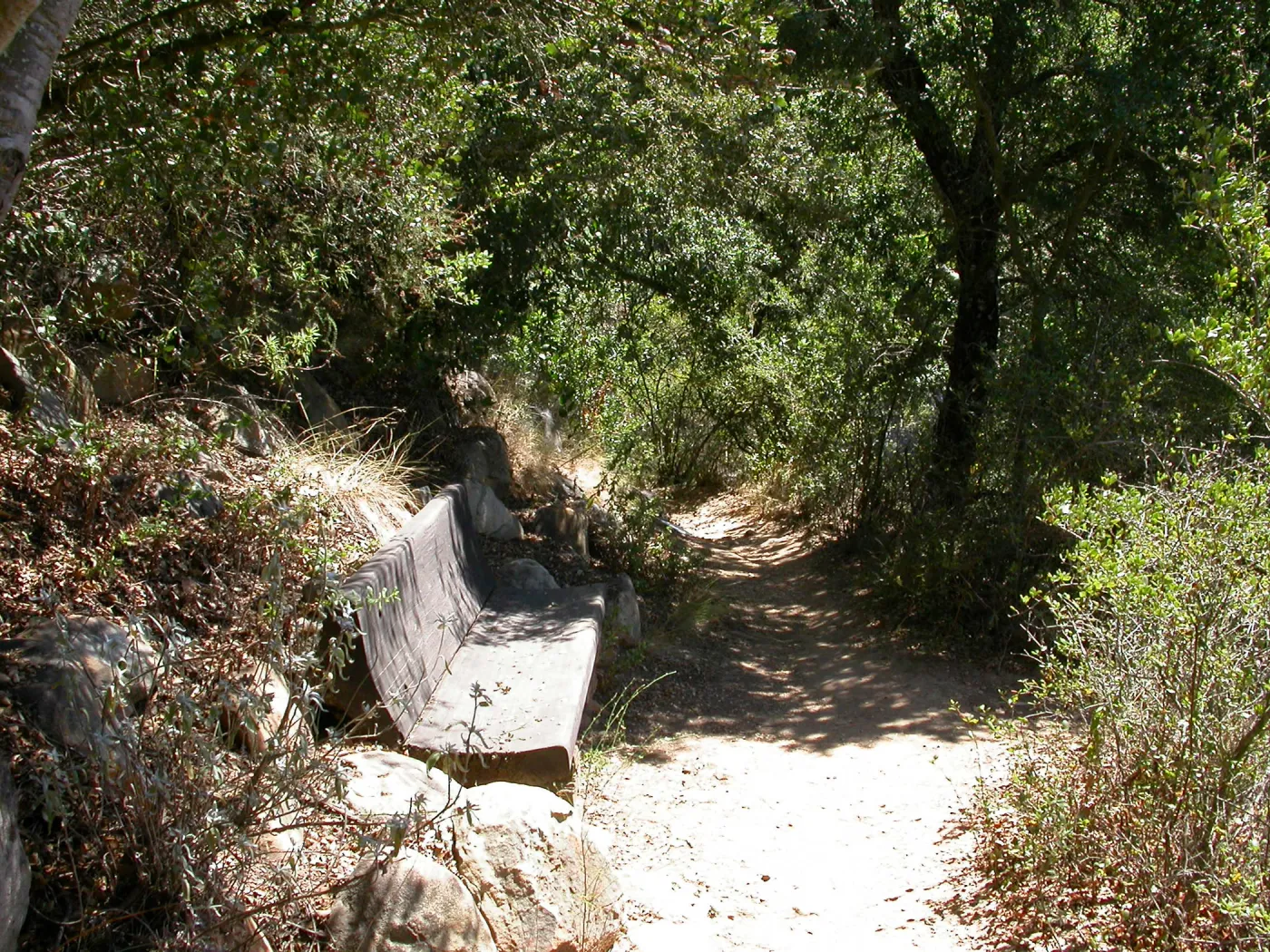 Hooper Bench (Bench #33)