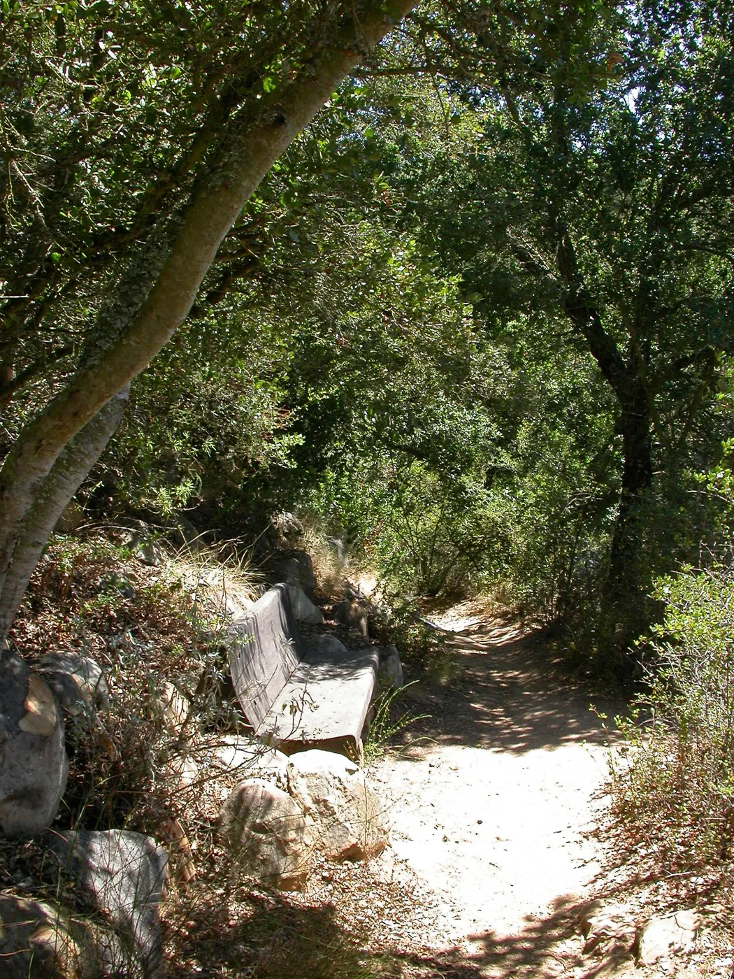 Hooper Bench (Bench #33)